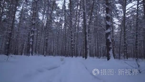 慢跑在美丽的冬天森林素材视频视频