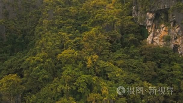 热带雨林中的山，鸟瞰图