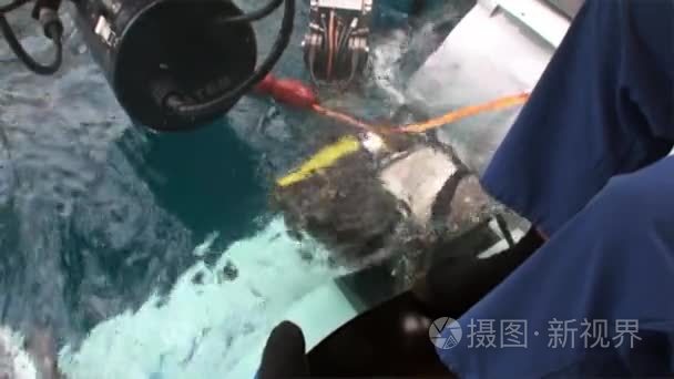 潜水潜艇水下在太平洋的过程视频
