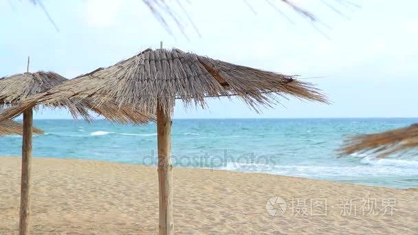 沙滩与茅草遮阳伞在刮风的日子视频