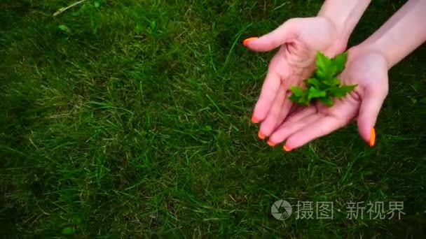 女孩抱着绿色的植物在背景的绿色的草坪上