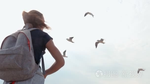 饲喂海鸥在海滩背包的女孩视频