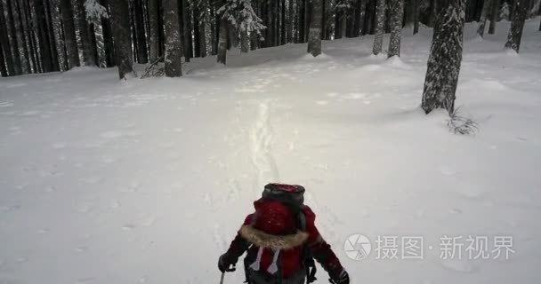 冬季徒步旅行者在雪林视频