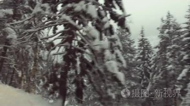 汽车行驶在冬天雪林视频