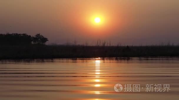 在湖的金色小时日落视频