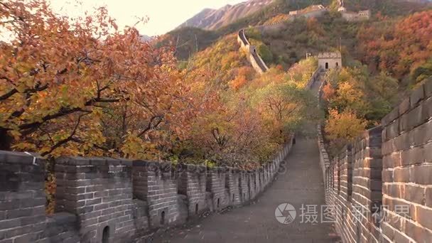 中国的长城。雄伟的山脉 vista。北京慕田峪。古老的历史遗址。秋季橙色日落 黄色绿树