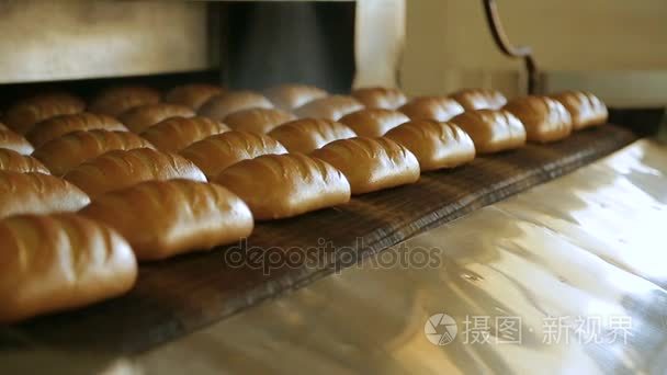 面包烘焙食品工厂生产视频