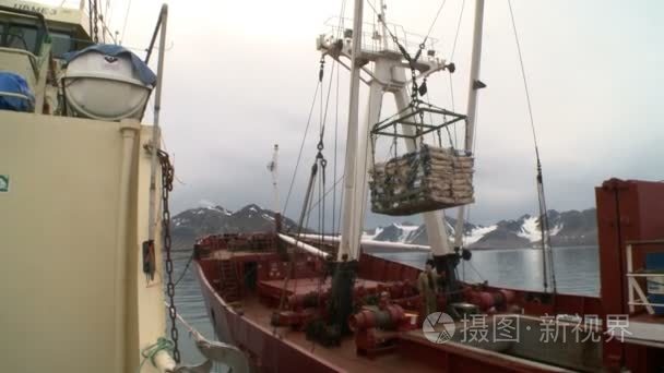 卸载从渔船运输船只上的鱼视频