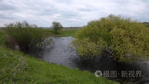 绿树在春天时的天气多云在湖视频