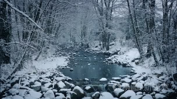 在冰雪的林地河视频