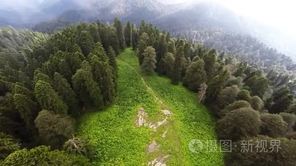 飞越高山森林视频