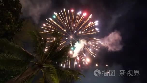 新年烟花在热带小岛视频