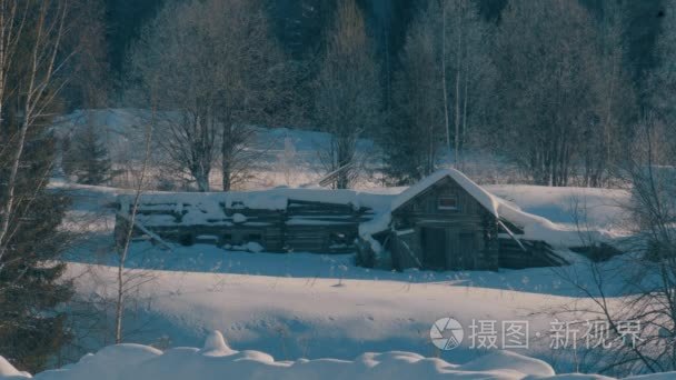 冬季森林中的白霜。降雪量。小木屋