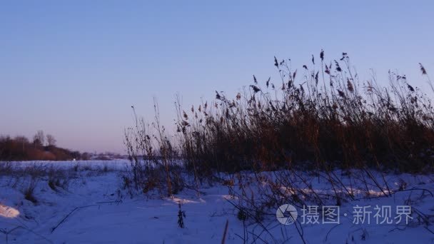 白色的雪结冰的江面上的谎言