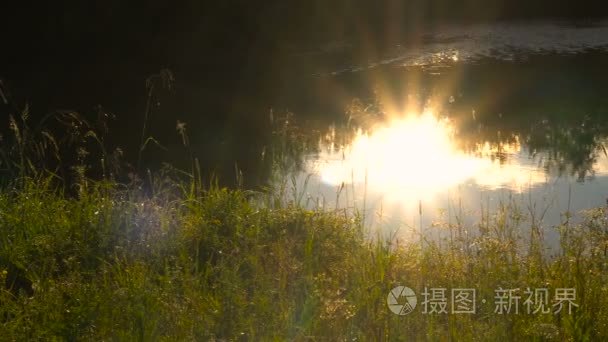 夏天太阳景观反映在露水河草岸视频