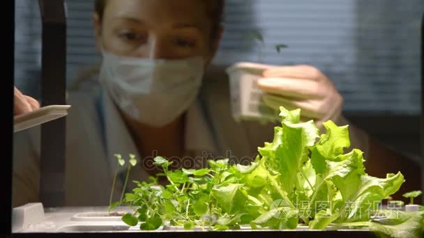 女科学家移植在实验室小豆芽