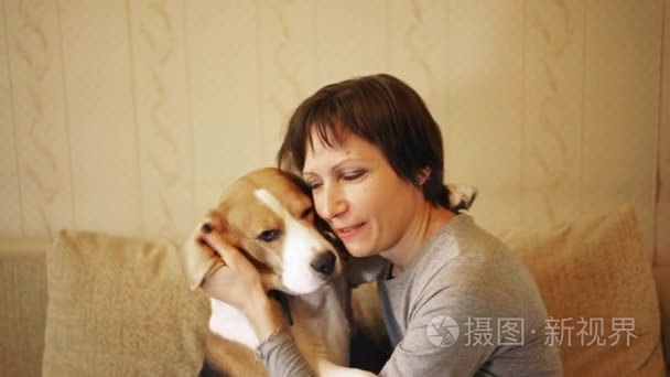 女人坐在沙发上和拥抱比格犬视频