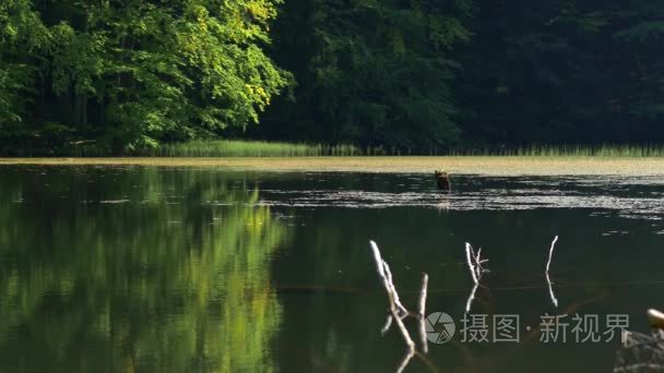 欧洲风景视频