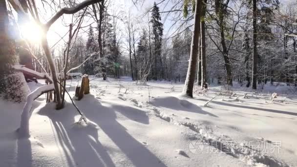 在阳光灿烂的日子的雪景视频