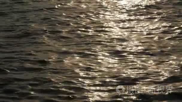宁静波光粼粼的湖水在日落时视频