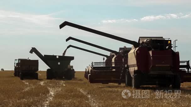 什么将粮食倒入一辆卡车