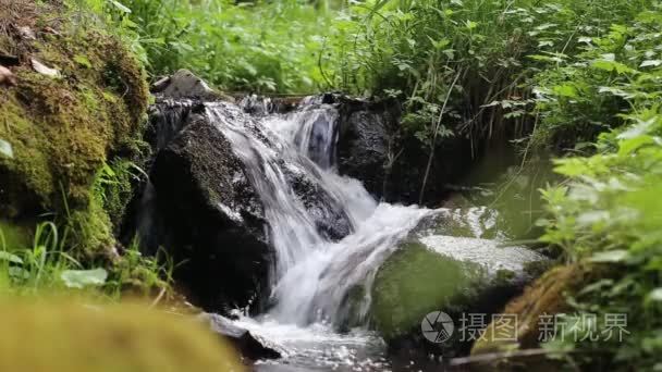 森林山小溪流淌视频
