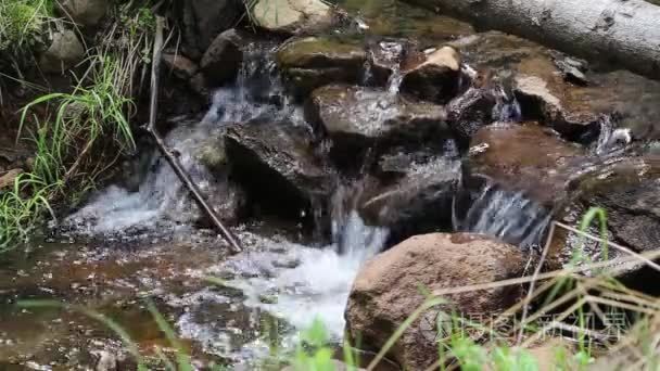森林山小溪流淌视频