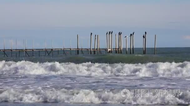 鸬鹚的木码头和海上波视频