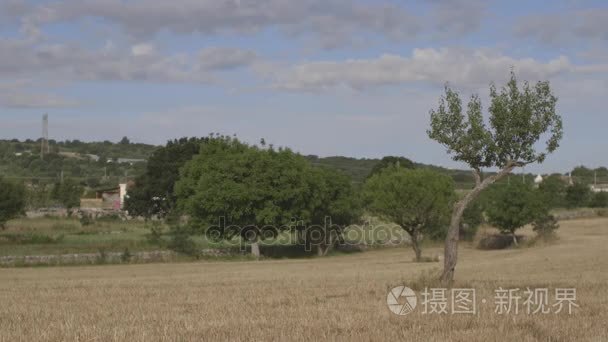 乡村景观中安静的一天视频