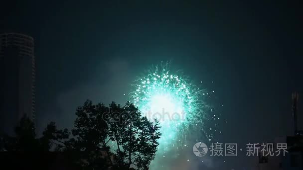 夜空中火的敬礼。越南。独立日假期。胡志明市