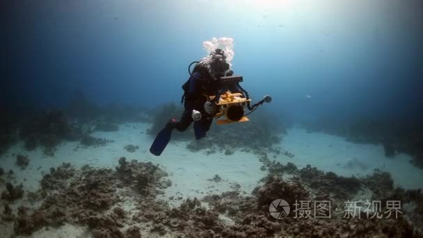 摄影师潜水员水下游泳在红海视频