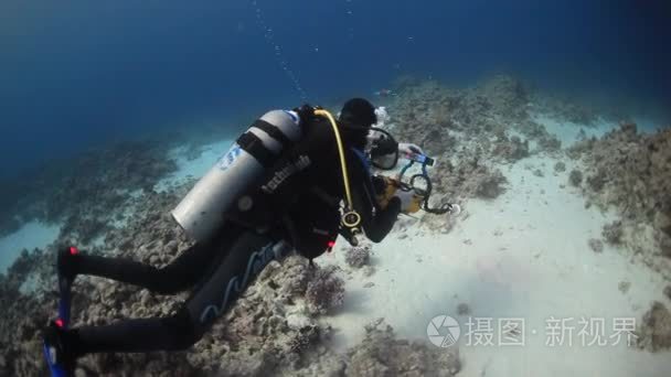 摄影师潜水员水下游泳在红海