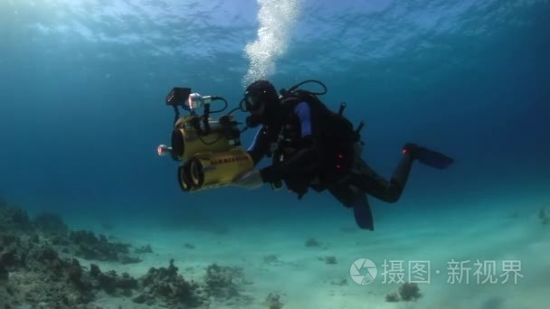 摄影师潜水员水下游泳在红海视频