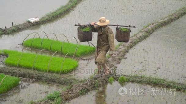 农民熊谷芽在篮子里视频
