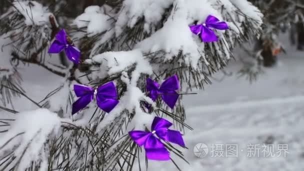 装饰用淡紫色丝带雪林树视频