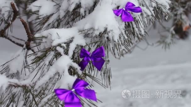 装饰用树淡紫色丝带雪林视频