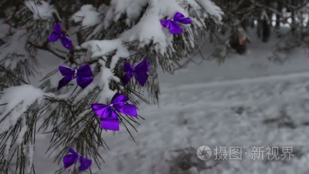 装饰用淡紫色丝带雪林树