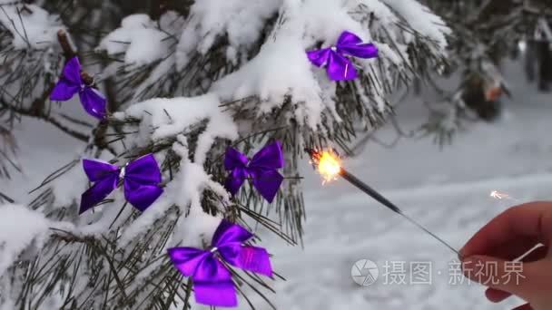 装饰白雪皑皑的丛林树用淡紫色丝带和孟加拉火女的手里