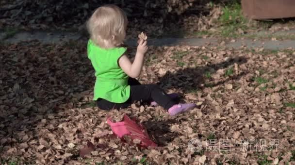 可爱的小女孩玩树叶在秋天视频