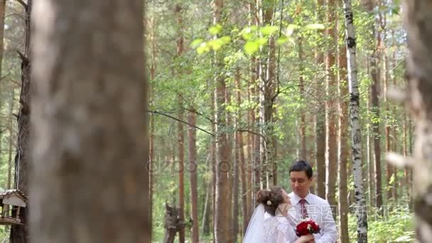 新婚夫妇在一片松树林视频