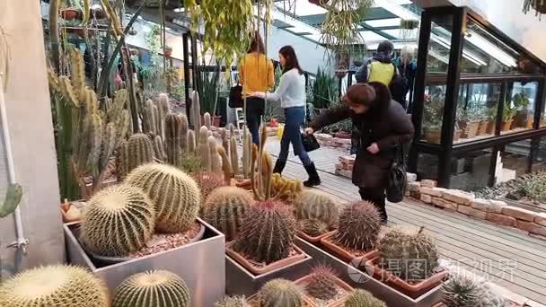 人们参加沙漠植物园植物展览视频
