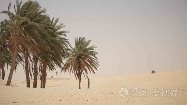 撒哈拉沙漠的视图视频