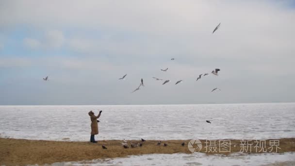 女人喂饿海鸥飞过海冻冰覆盖视频