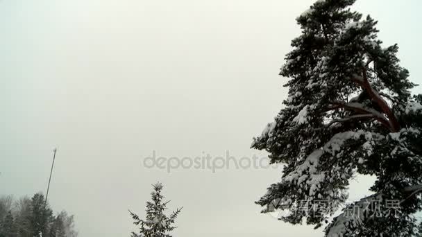 冬天的小屋雪上一个巨大的饮食视频