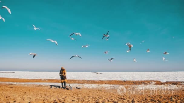 女人喂饿海鸥飞过海冻冰覆盖视频