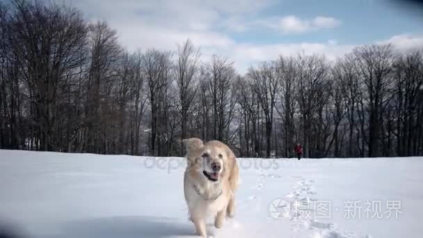 母亲和女儿在床上跳跃，快乐，快乐视频