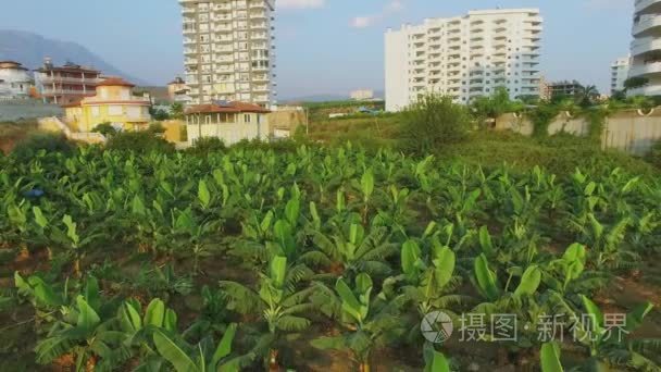 农场的场长，附近住宅复杂我海洋居住