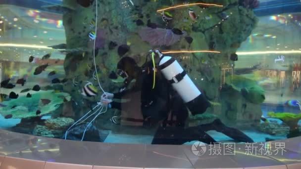 底部的购物中心水族馆潜水员视频