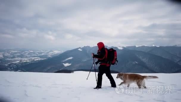 在冬季的狗在雪山徒步旅行视频