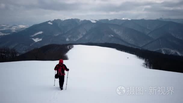 在冬季的狗在雪山徒步旅行视频